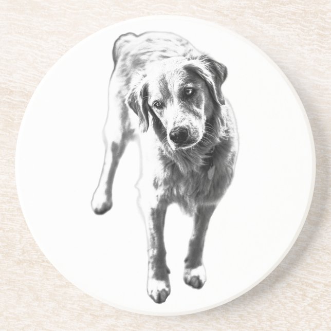 Autumn Hearth Guardian Coaster (Front)