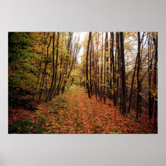 Autumn Hike Poster