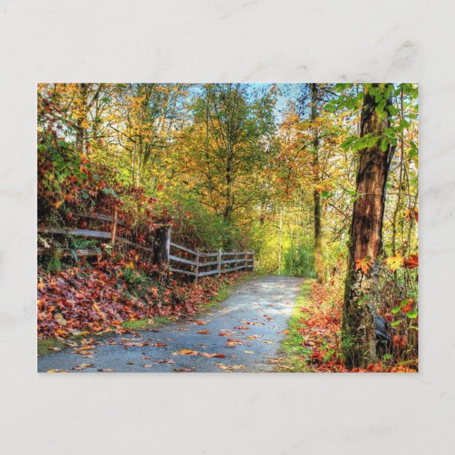 Autumn  holiday postcard (Front)