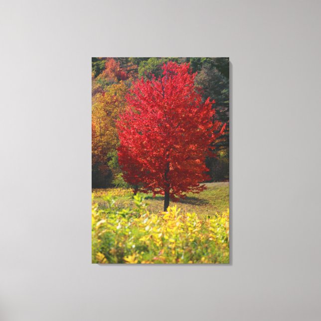 Autumn Home Gifts | Red Maple Leaves Canvas Print (Front)