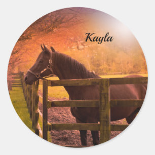 Autumn Horse   Classic Round Sticker
