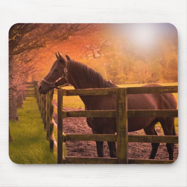 Autumn Horse Mouse Mat (Front)