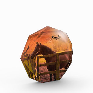 Autumn Horse Photo Block