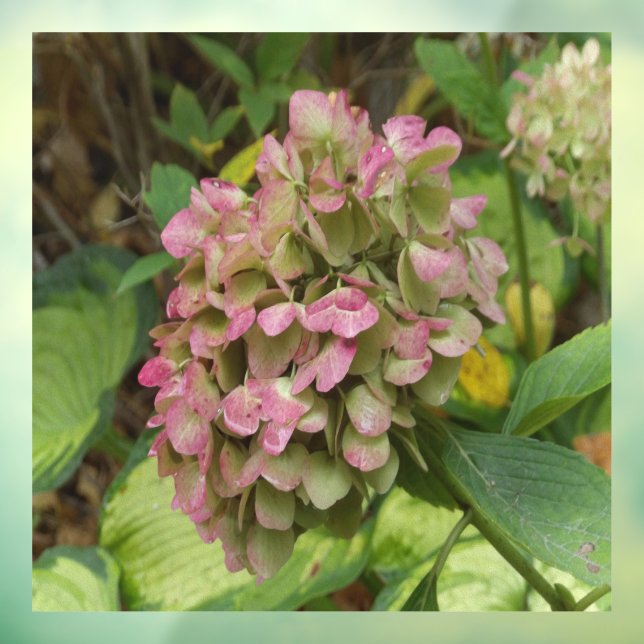 Autumn Hydrangea Bloom with Golden Hosta Leaves Window Cling (Sheet 3)