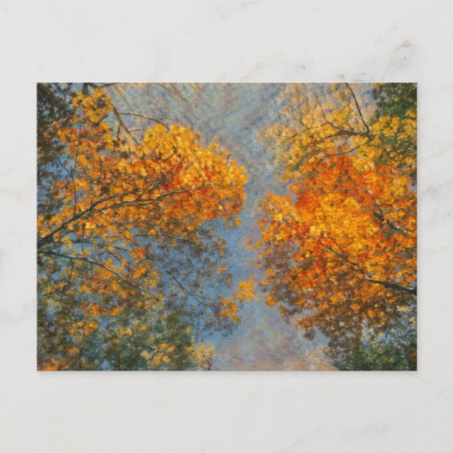 Autumn Impressionism Postcard (Front)