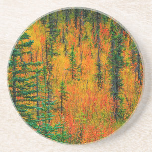 Autumn in a meadow coaster