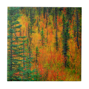 Autumn in a meadow tile