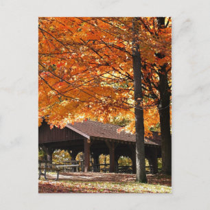 Autumn In A Park Postcard