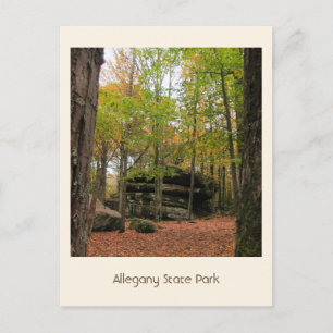 Autumn in Allegany  Postcard