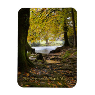 Autumn in Betws-y-coed, North Wales Magnet