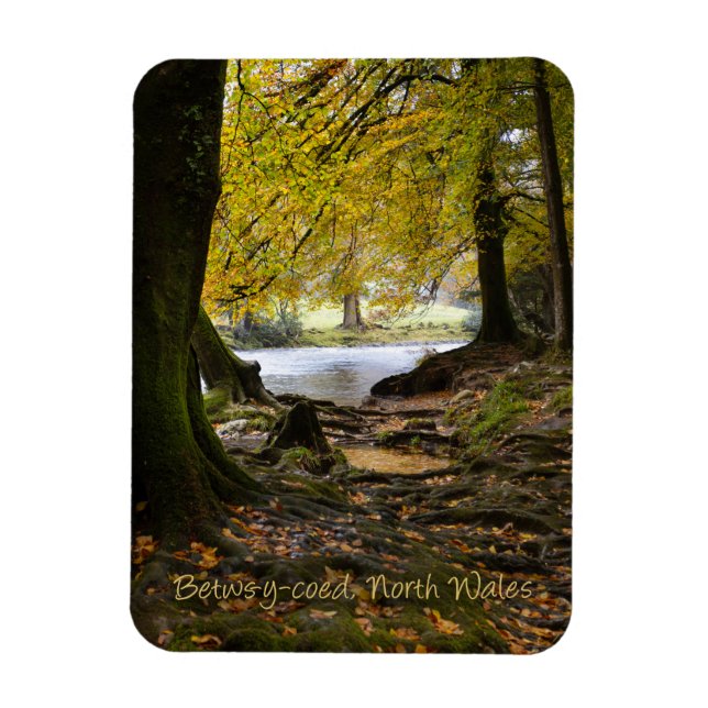 Autumn in Betws-y-coed, North Wales Magnet (Vertical)