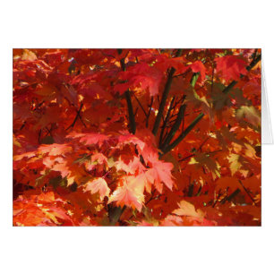 Autumn in Canberra