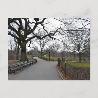 Autumn in Central Park NYC Postcard