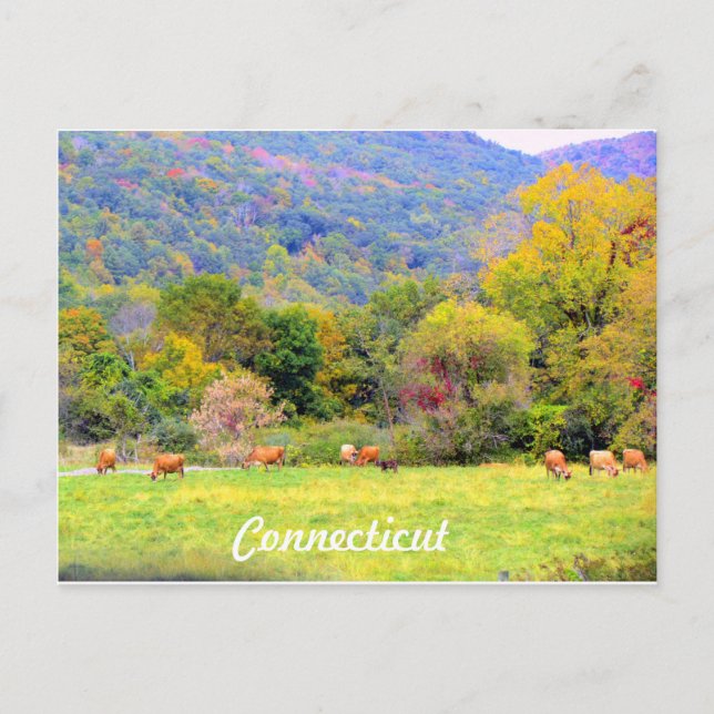 Autumn in CT Postcard (Front)