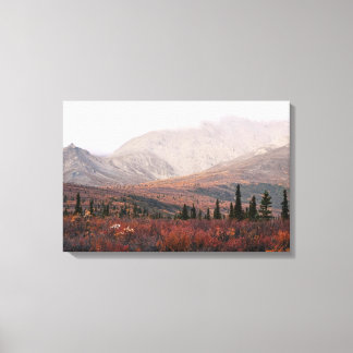 Autumn in Denali Canvas Print