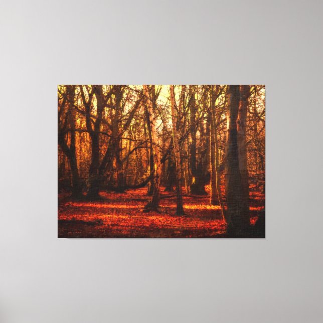 Autumn in Epping Forrest Canvas Print (Front)