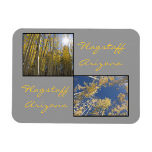 Autumn in Flagstaff Magnet