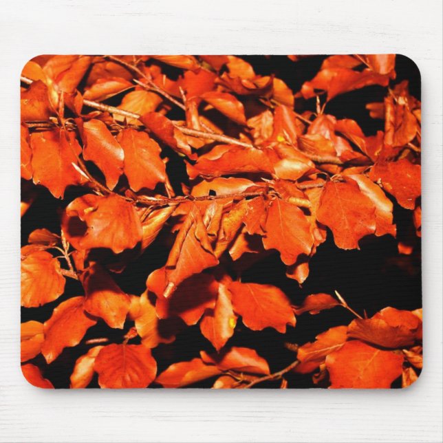 Autumn in Forest Mouse Mat (Front)