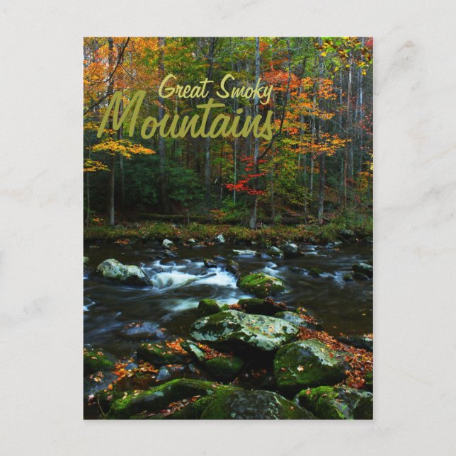Autumn in Great Smoky Mountains Postcard (Front)