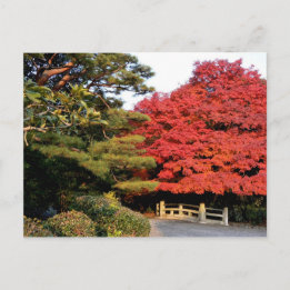 Autumn in Japan Postcard