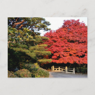 Autumn in Japan Postcard