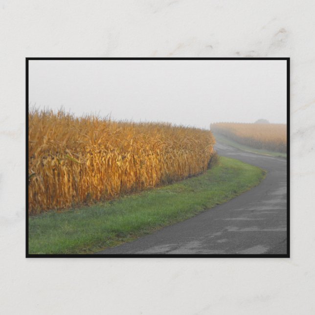 ~ Autumn in Lancaster County ~ 32 Postcard (Front)