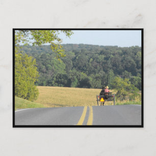 ~ Autumn in Lancaster County ~ 63 Postcard