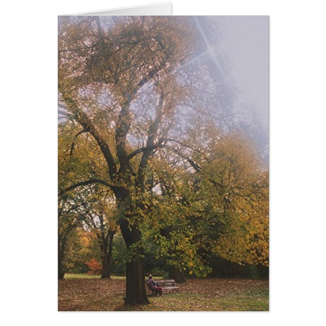 Autumn in Melbourne (Front)