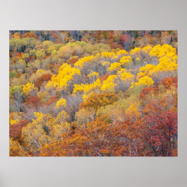 Autumn in Michigan Poster (Front)