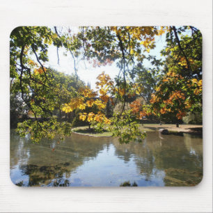 Autumn in Montreal Mouse Mat