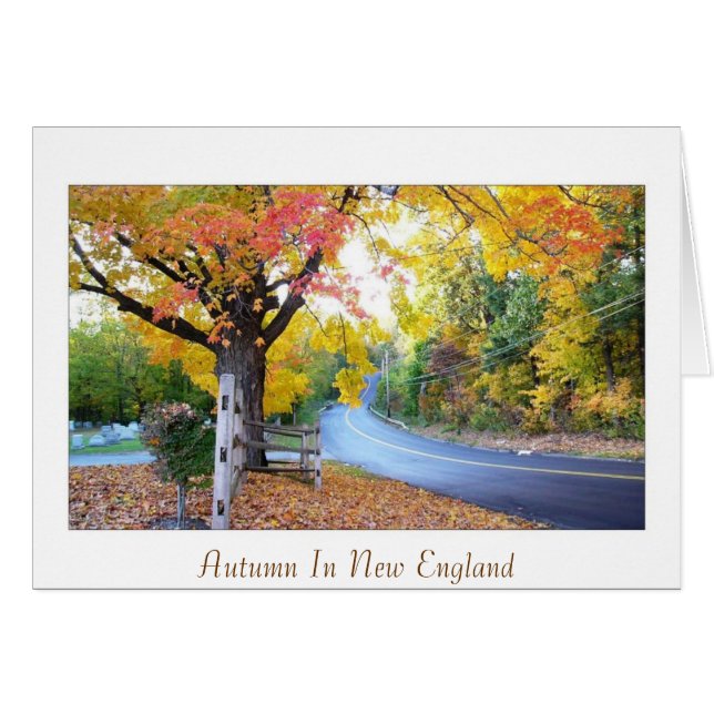 Autumn In New England (Front Horizontal)