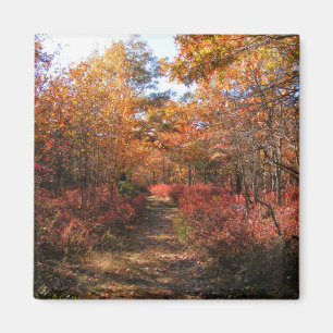 Autumn in New England 32 ~ magnet
