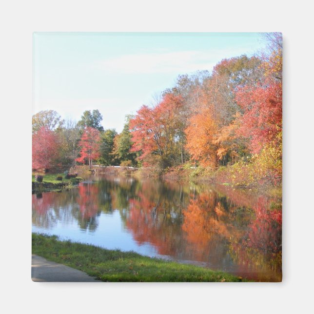 Autumn in New England 54 ~ magnet (Front)