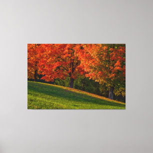 Autumn In New England Gallery Wrap Canvas Print