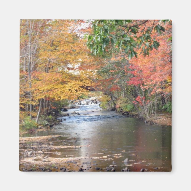 Autumn in New England Magnet (Front)