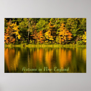 Autumn in New England Print