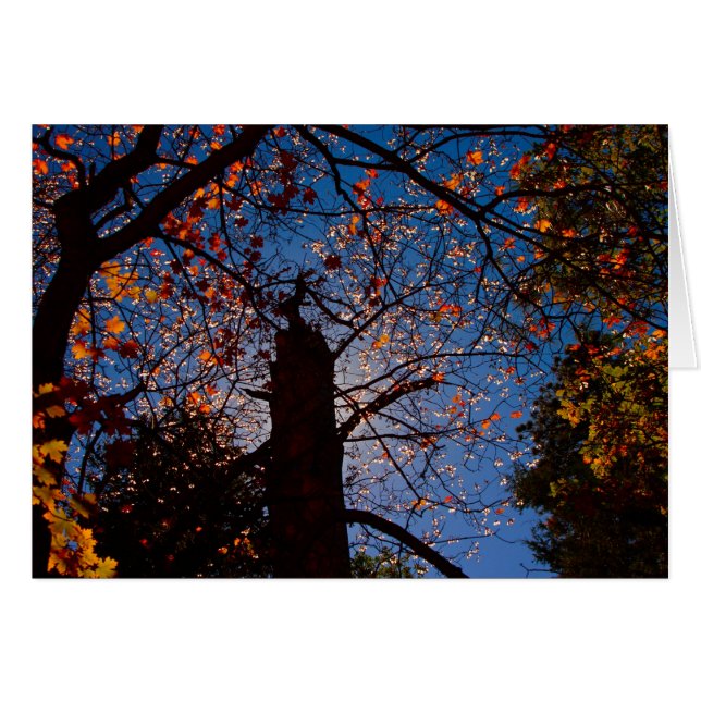 Autumn in New Mexico (Front Horizontal)