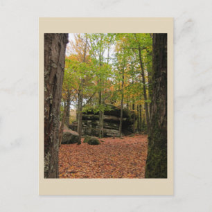 Autumn in New York - 1 Postcard
