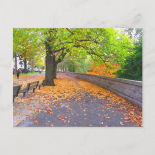 AUTUMN IN NEW YORK CITY  POSTCARD