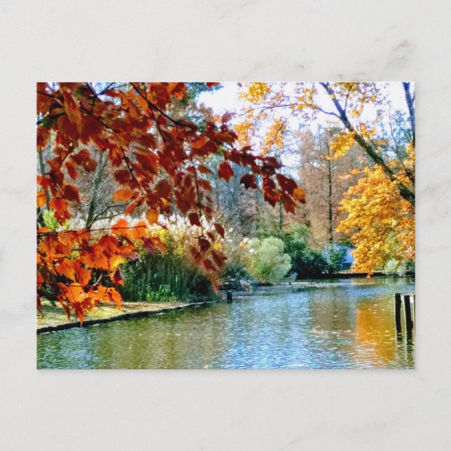 Autumn in North Carolina Postcard (Front)