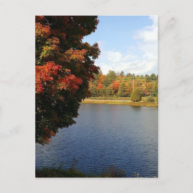 Autumn in Ontario, Canada Postcard (Front)