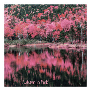 Autumn in Pink Photo Print