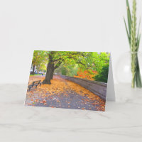 AUTUMN IN RIVERSIDE PARK