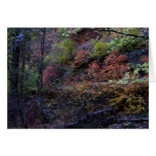 Autumn in Sedona