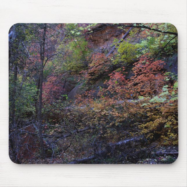 Autumn in Sedona Mouse Mat (Front)