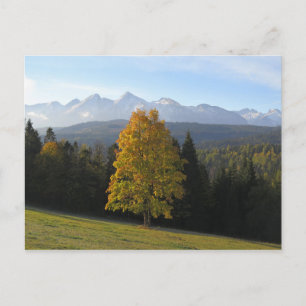 Autumn in Tatras Poster Postcard