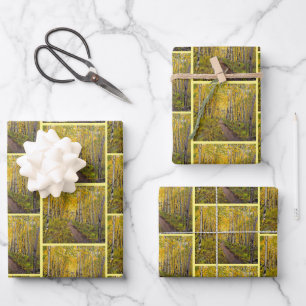 Autumn in the Aspen Trees Wrapping Paper Sheet