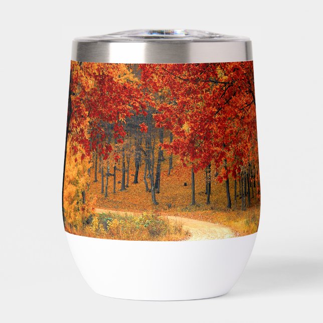 autumn in the forest (Front)