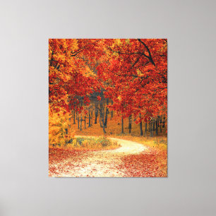 autumn in the forest canvas print
