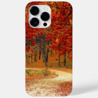 autumn in the forest